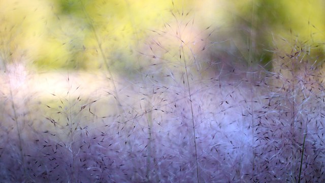 重燃爱火，离婚女性如何挽回前夫的心-第1张图片-情感大咖